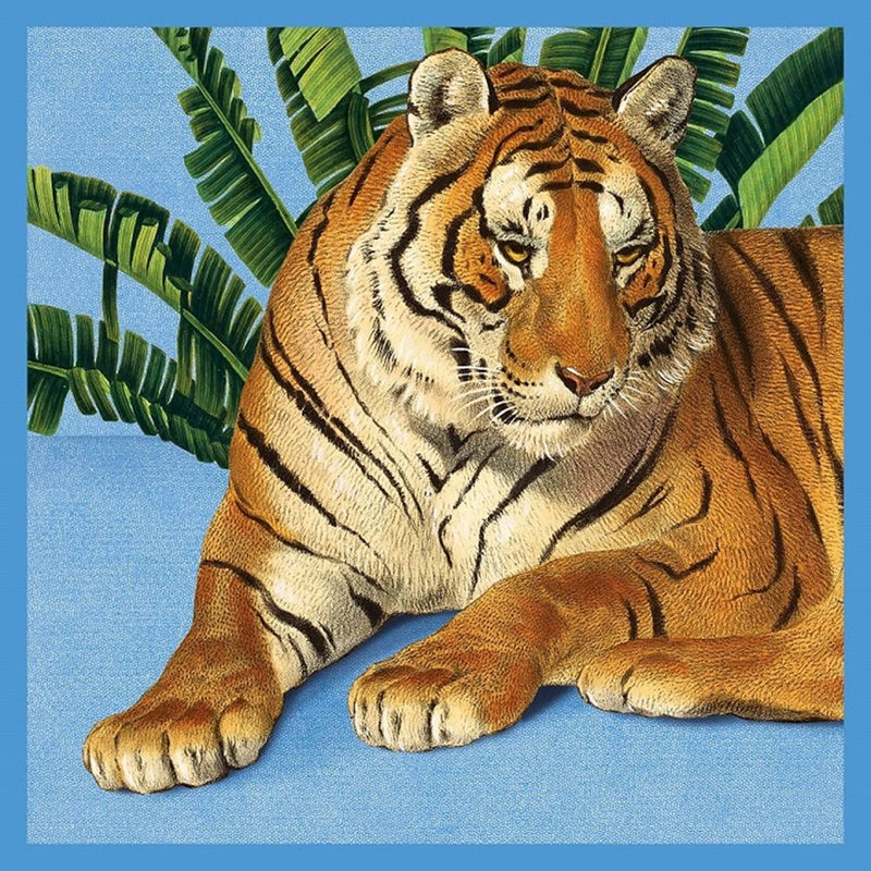 Carte+enveloppe tigre. 16x16cm