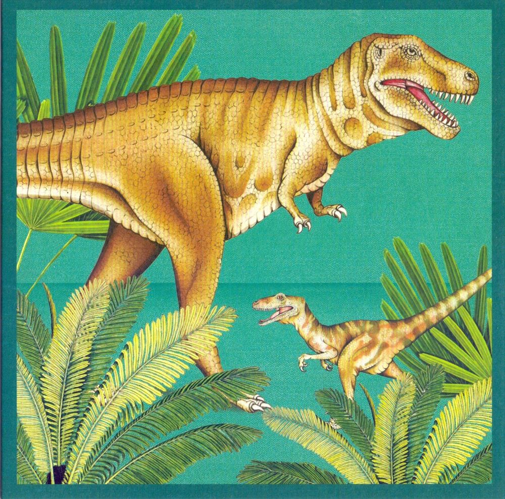 Carte+enveloppe tyrannosaure. 16x16cm