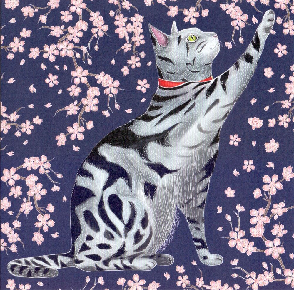 Carte+enveloppe. chaton sakura. 16x16cm