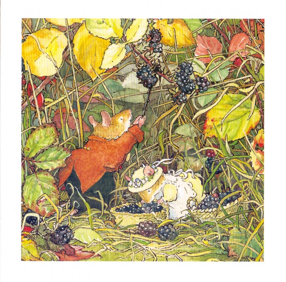 Carte+enveloppe. cueillir des mûres. 16x16 cm.