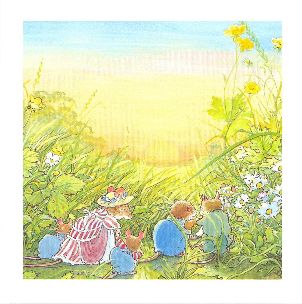Carte+et coucher de soleil dans le pré. 16x16