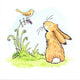 Carte + enveloppe devinez quoi, oiseau 16x16 cm