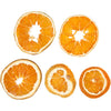 Creativ Company séchées d'Orange, 5e.