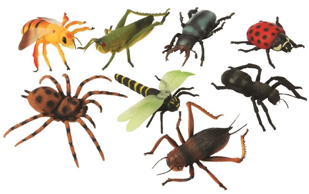 Gros insectes, 12 assortis. 15 cm. 3+