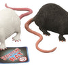 Rat extensible 18 cm. 2 assortiments. 3+