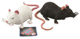 Rat extensible 18 cm. 2 assortiments. 3+ - afbeelding 1