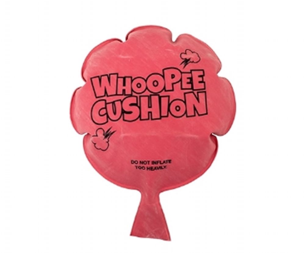 Coussin pet sur carte