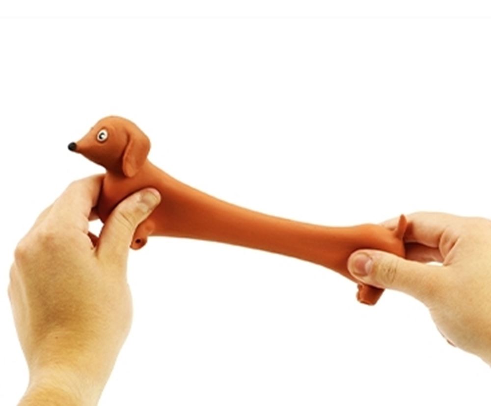 Teckel extensible Dsp 12 cm. 3+ (12 pièces)