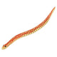 Serpent en bois 30 cm. fsc. 3+