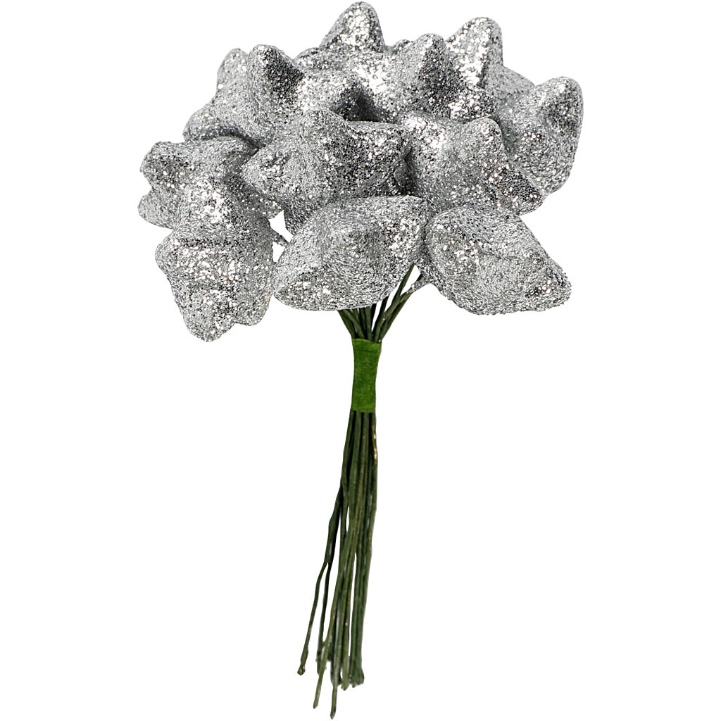 Creativ company étoiles d'art, d 25 mm, argent, 12 pièces 1 boîte