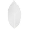 Feuilles squelettes Creativ company, l: 6-8 cm, blanches, 20 pièces 1 boîte