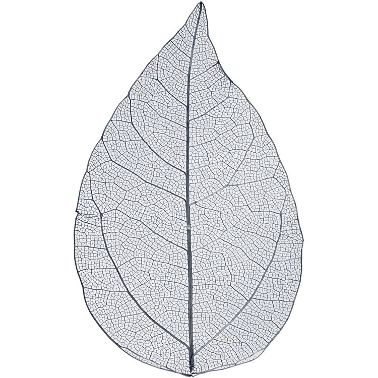 Feuilles squelettes Creativ company, l: 6-8 cm, bleues, 20 pièces 1 boîte
