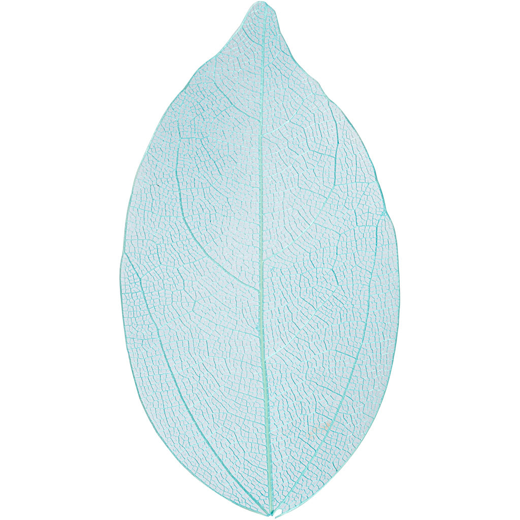 Feuilles squelettes Creativ company, l: 6-8 cm, bleu clair, 20 pièces 1 boîte