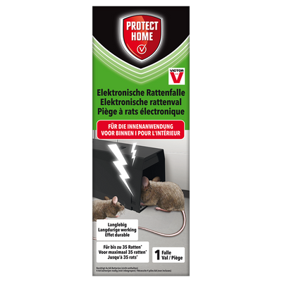 Pro-tect 1076862 - piège à rats électronique 1ère protection maison | 1 pièce