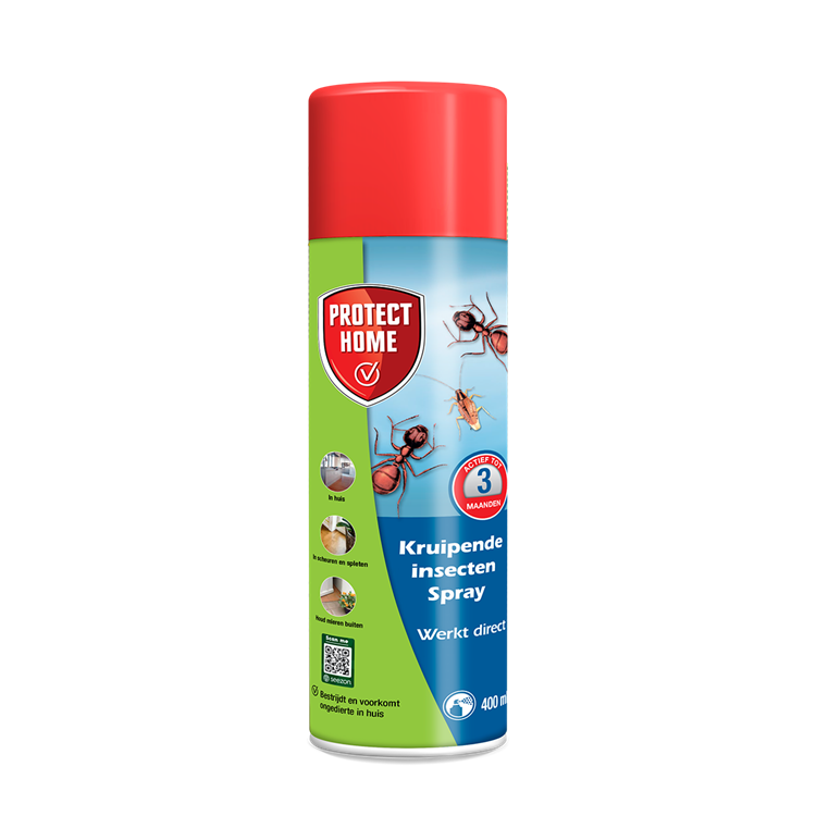Pro-tect 1076860 - spray insectes rampants 400mlprotect home | 2 pièces