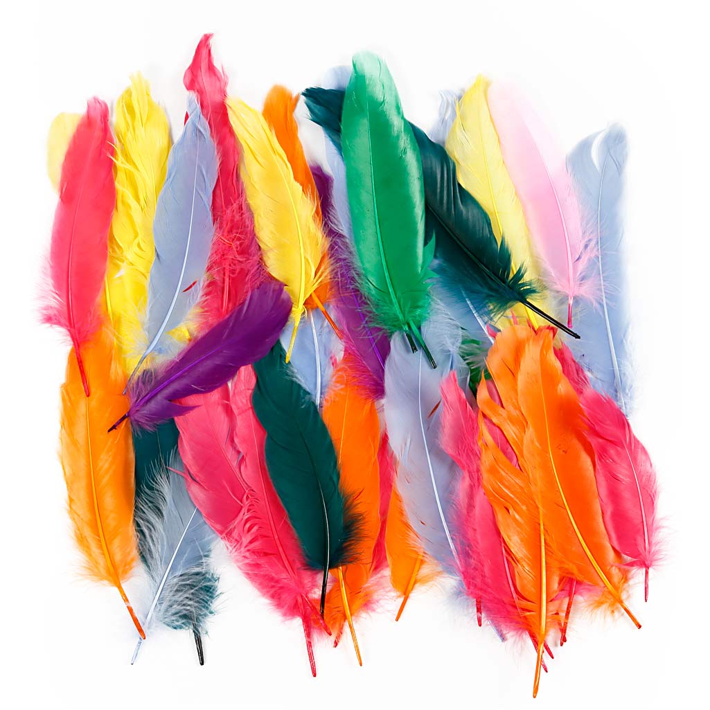 Plumes Creativ company, l: 12-15 cm, différentes couleurs, 350 pièces 1 boîte