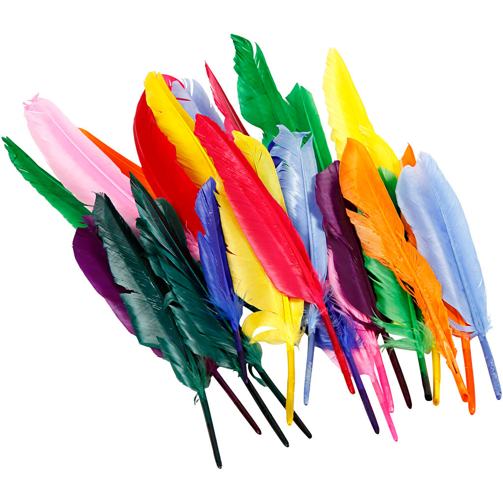 Plumes Creativ company, l: 17-20 cm, 250 pièces 1 boîte