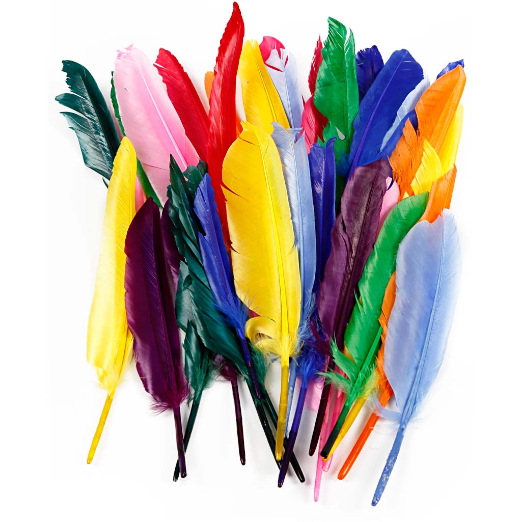 Plumes Creativ company, l: 17-20 cm, 250 pièces 1 boîte