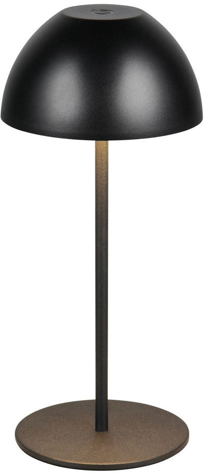 Rl vis ta lumière réalité ortiz - lampe de table - noir mat - incl. 1x SMD 2 W - on off touch - variateur à capteur - connexion USB - fonction mémoire - rechargeable - sans fil - lampe d'extérieur - IP44