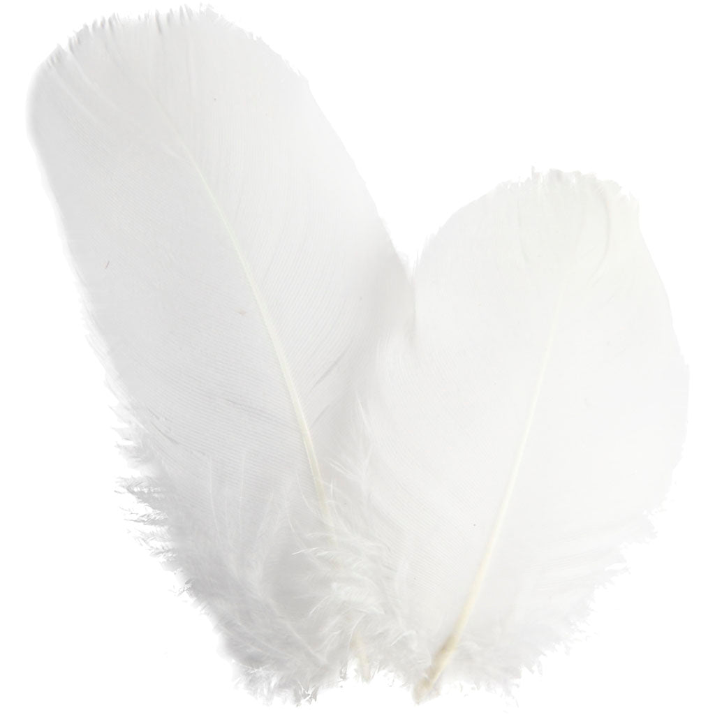 Plumes d'oie Creativ Company - rondes, L : 5-8 cm, env. 70 pièces, blanc, 3 g 1 boîte