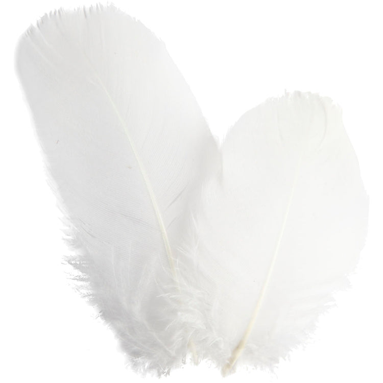 Plumes d'oie Creativ Company - rondes, L : 5-8 cm, env. 70 pièces, blanc, 3 g 1 boîte
