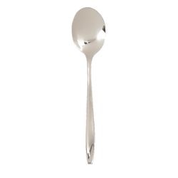 Résistance cuillère en acier chrome-nickel 18 10 en acier inoxydable brillant