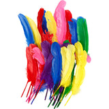 Plumes Creativ company, l: 20 cm, différentes couleurs, 36 pièces 1 boîte - afbeelding 1