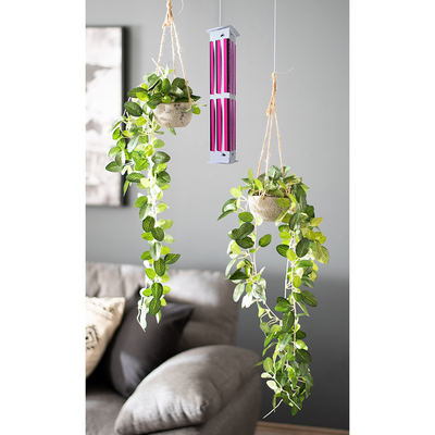 Luxan 1075220 - tour à mouche 3d 2 pcs | 1 pièce