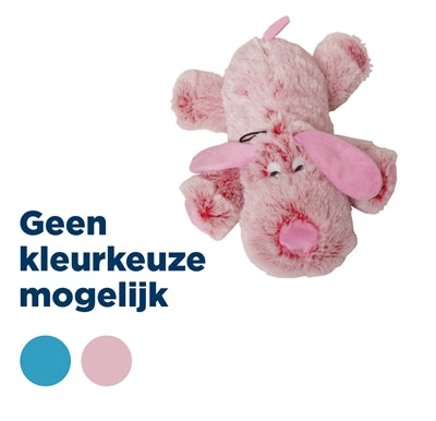 Chien velu rose bleu assorti