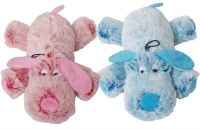 Chien velu rose bleu assorti