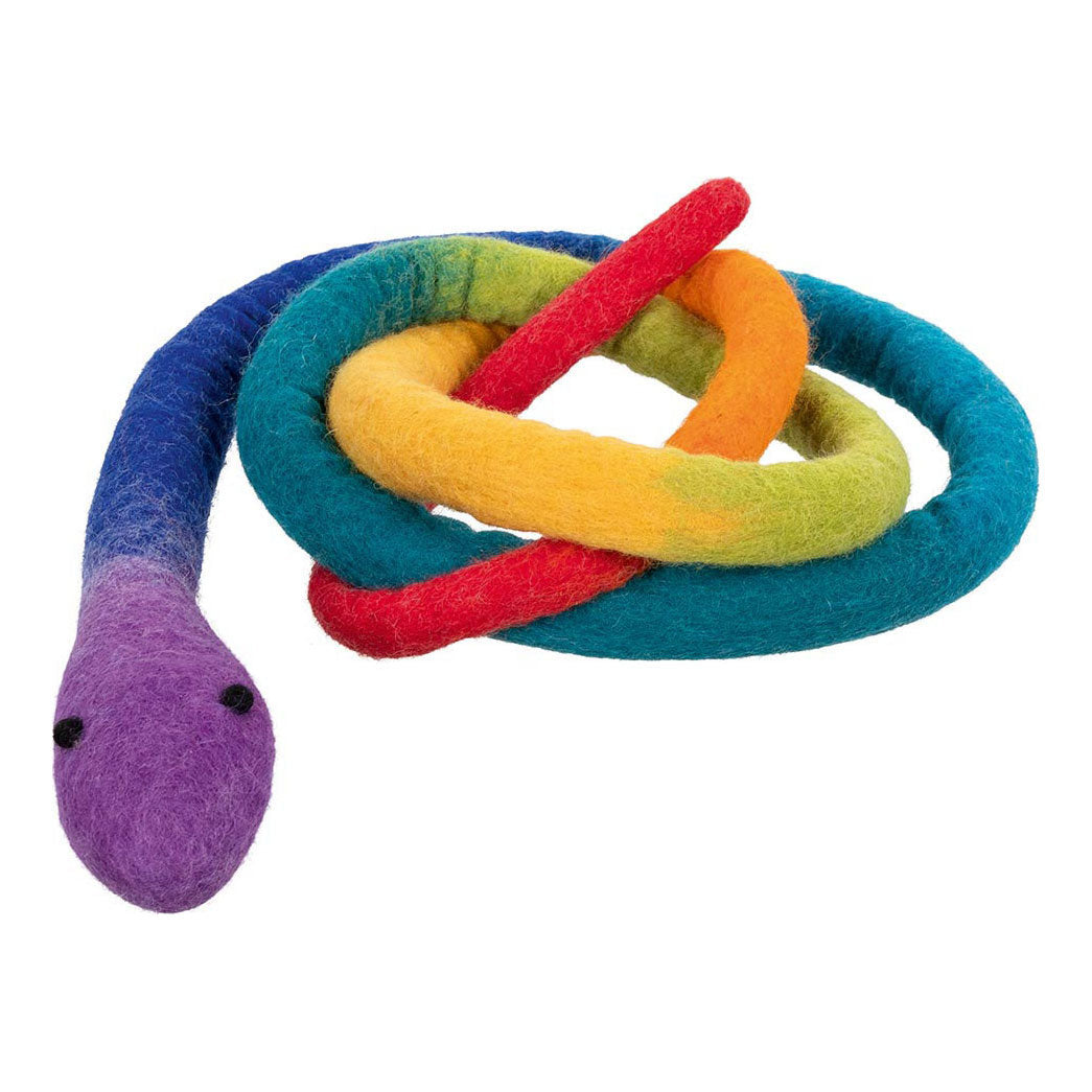 Boa Snake Boa