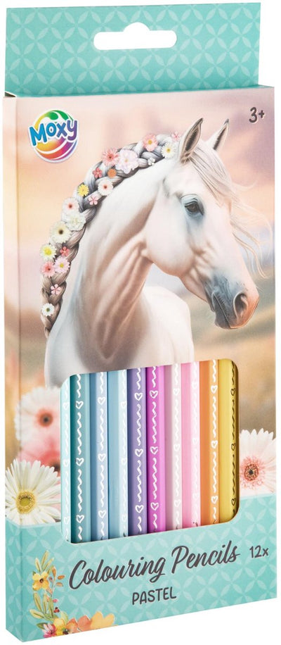Crayons de couleur pastel pour groupe d'artisanat créatif - 12 pcs.