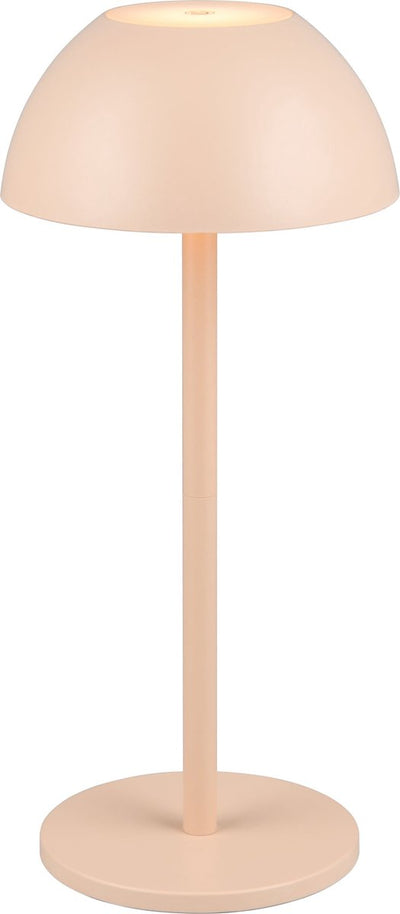 Rl vis ta lumière réalité ricardo - lampe de table - sable - incl. 1x SMD 1,7 W - Touch 4 étapes - Connexion USB - Éclairage haut et bas - Alimentation par batterie - Éclairage extérieur - IP54