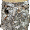 bloc de reproduction en bois de bouleau paraket