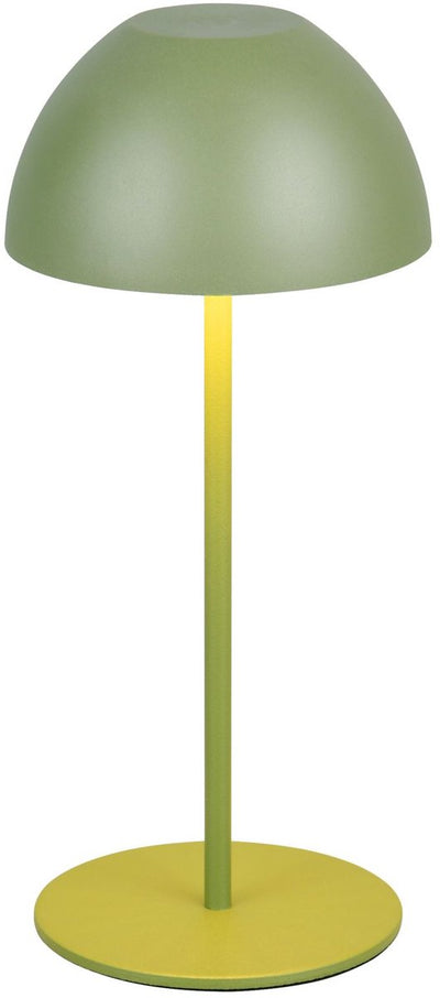 Rl vis ta lumière réalité ortiz - lampe de table - vert - incl. 1x SMD 2 W - on off touch - variateur à capteur - connexion USB - fonction mémoire - rechargeable - sans fil - lampe d'extérieur - IP44