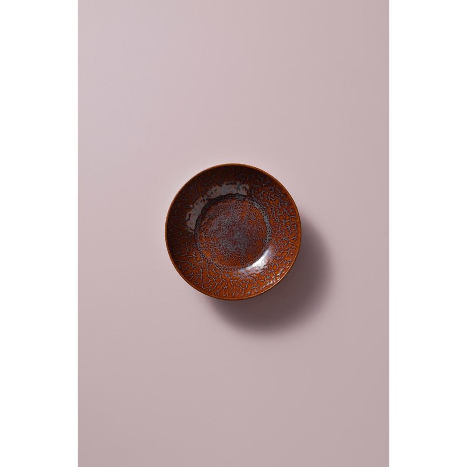 Palmer plat magmatique 17cm coupé marron 6 pcs