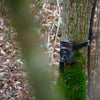 Caméra Braun Wild Noir300