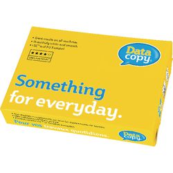 Copie de données papier professionnel 80g m2 a4 170cie blanc
