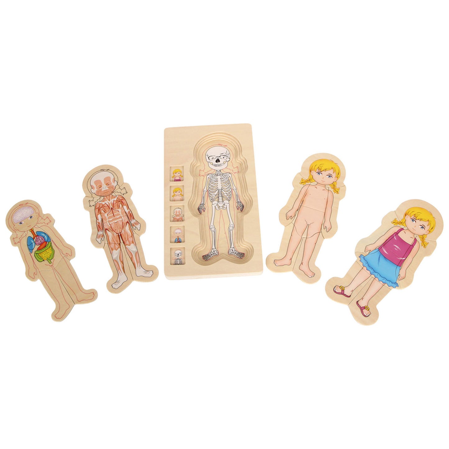 Petite fille de puzzle du corps en bois, 29e.