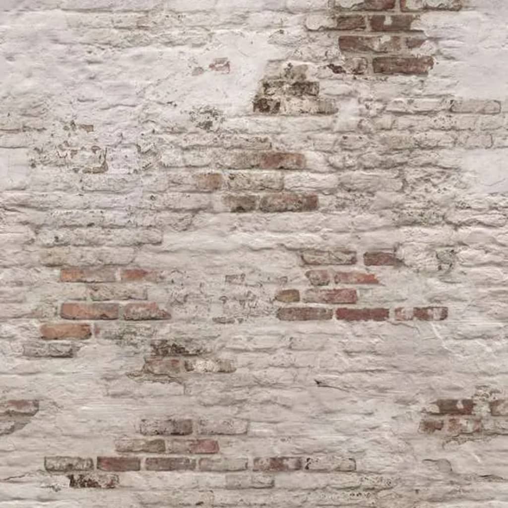 Covergs muraux néerlandais.