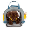 Petit chien de câlins avec un sac de transport et un ensemble de soins