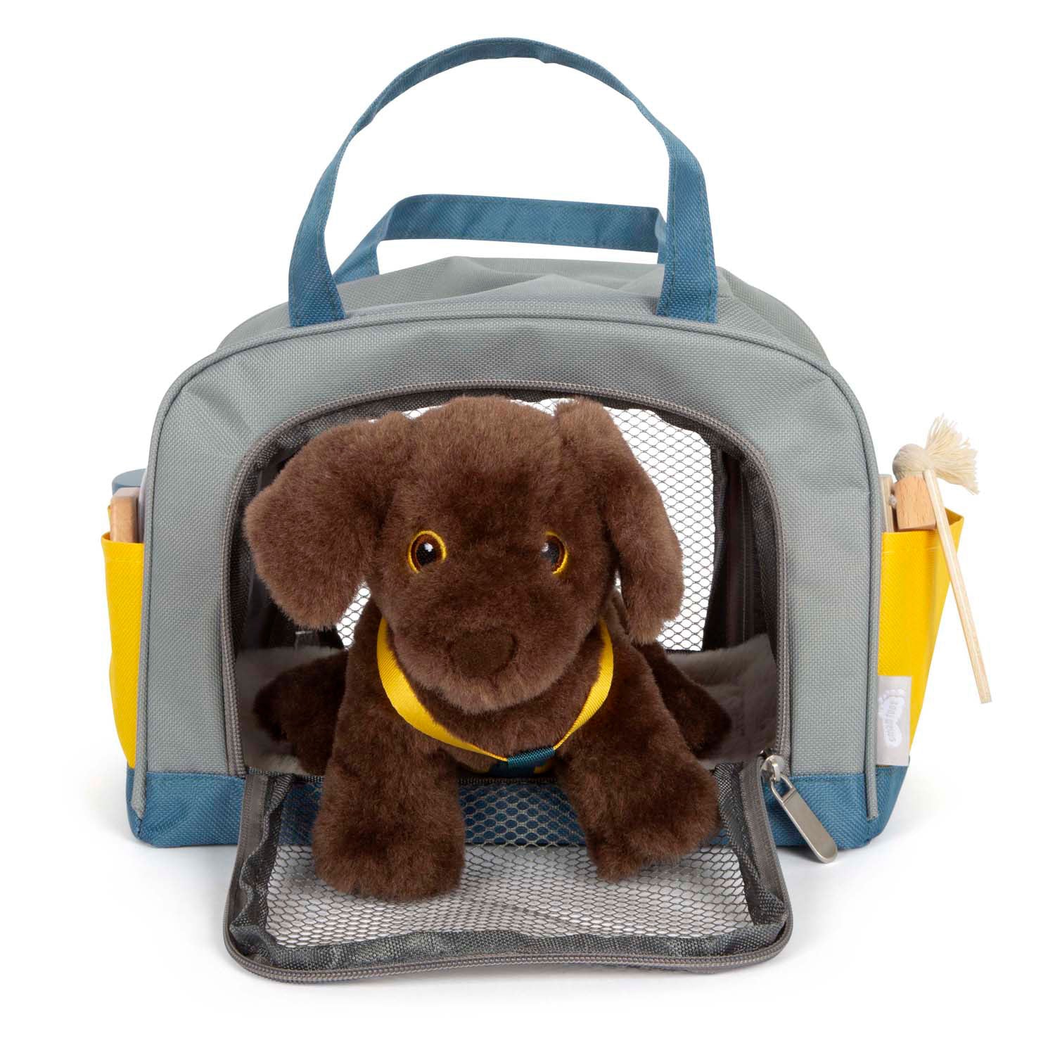 Petit chien de câlins avec un sac de transport et un ensemble de soins