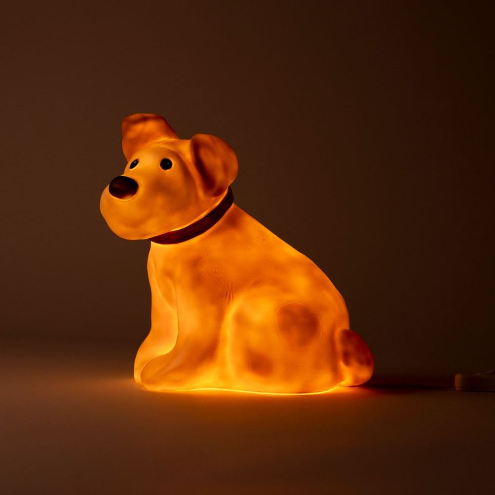 Lampe d'Egmont le chien Eliot. 24x23cm.