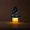 Lampe Egmont champignon jeans avec variateur