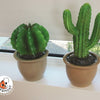 Lampe Egmont cactus en pot de fleur 27x16,5
