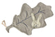 Doudou doudou feuille d'arbre 36 cm