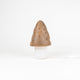 Lampe Egmont champignon chocolat + dimm