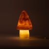 Lampe Egmont champignon lilas + variateur.