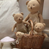 Doudou Egmont en coton biologique. chaîne de sucette