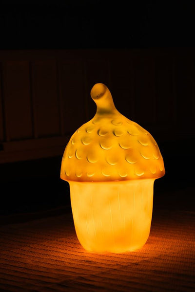 Lampe Egmont gland terra + variateur. 20x30